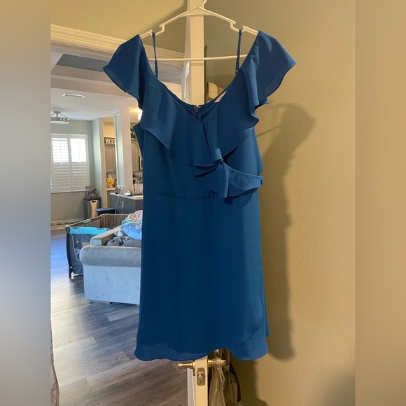 Naked zebra blue dress - Picture 1 of 4